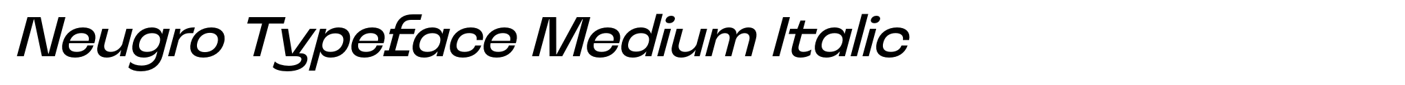 Neugro Typeface Medium Italic image